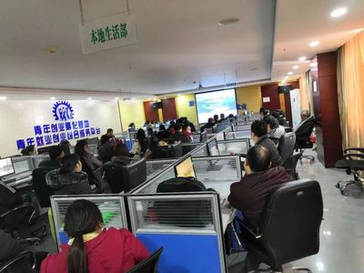 解码电商扶贫“山阳模式” 技术服务如何赋能县域经济